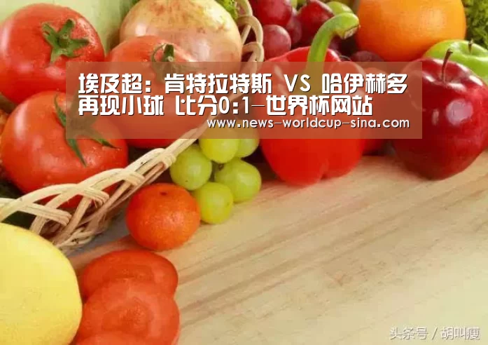 埃及超: 肯特拉特斯 VS 哈伊赫多再现小球 比分0:1-世界杯网站