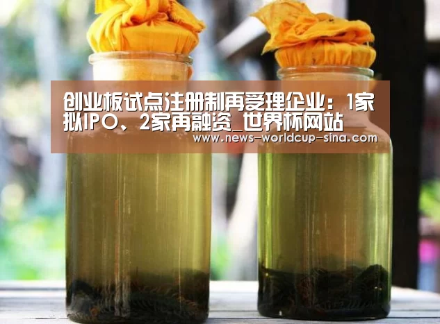 创业板试点注册制再受理企业：1家拟IPO、2家再融资_世界杯网站