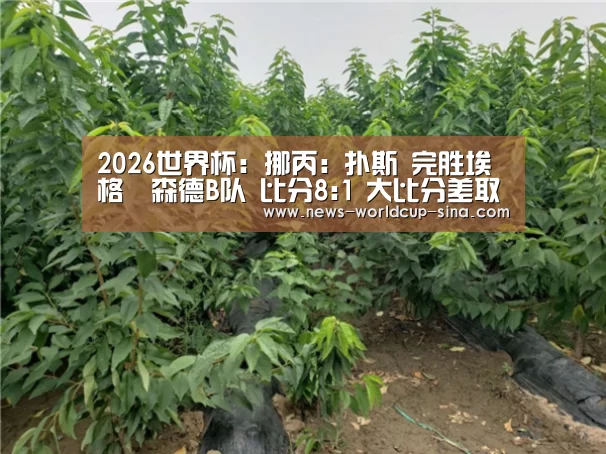 2026世界杯：挪丙: 扑斯 完胜埃格尓森德B队 比分8:1 大比分差取胜