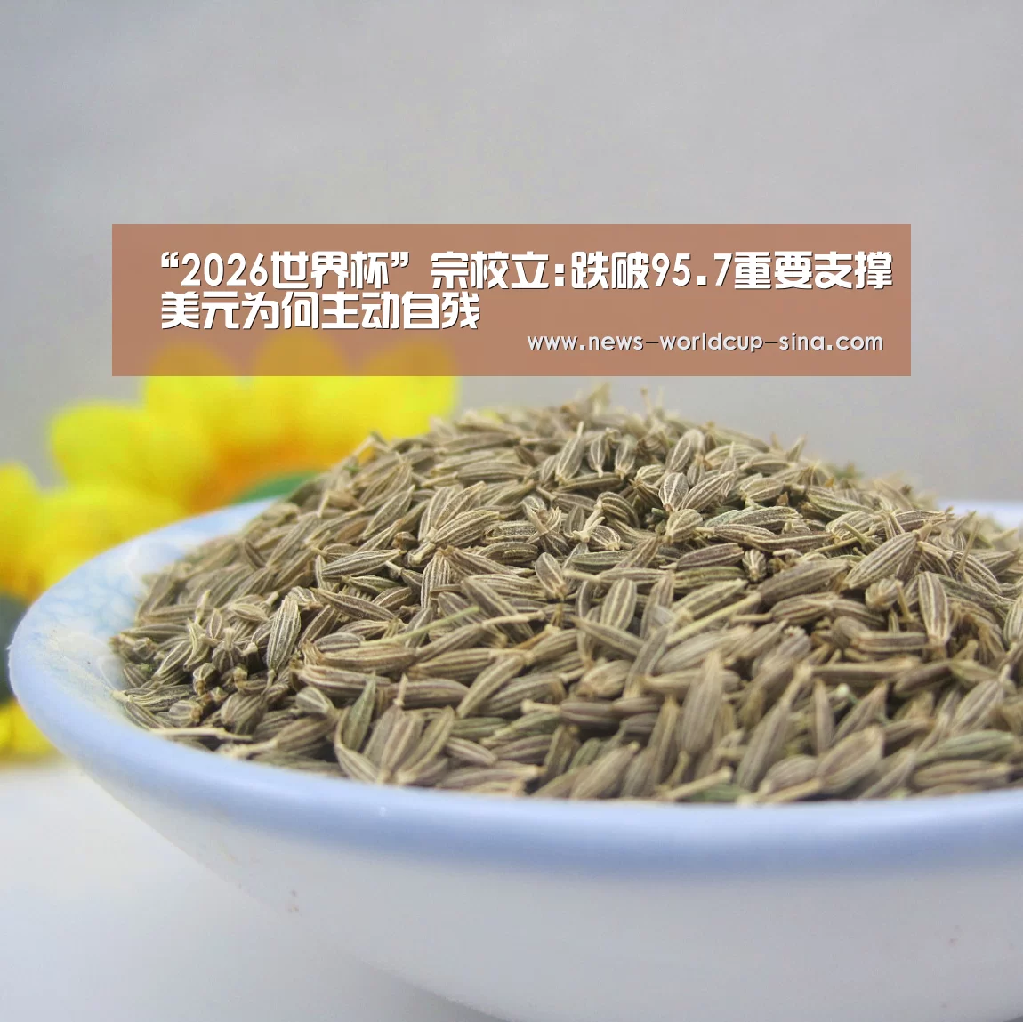 世界杯网站