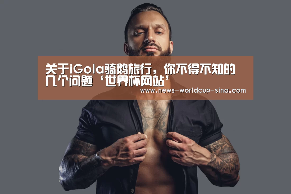 2026世界杯官网