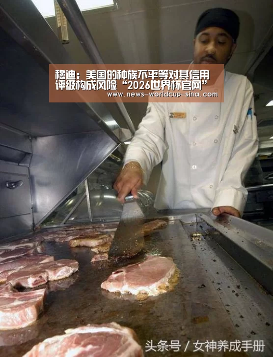 穆迪：美国的种族不平等对其信用评级构成风险“2026世界杯官网”