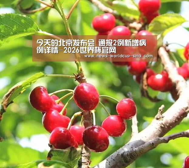 2026世界杯官网